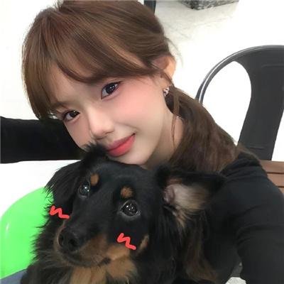 国土安全第七季